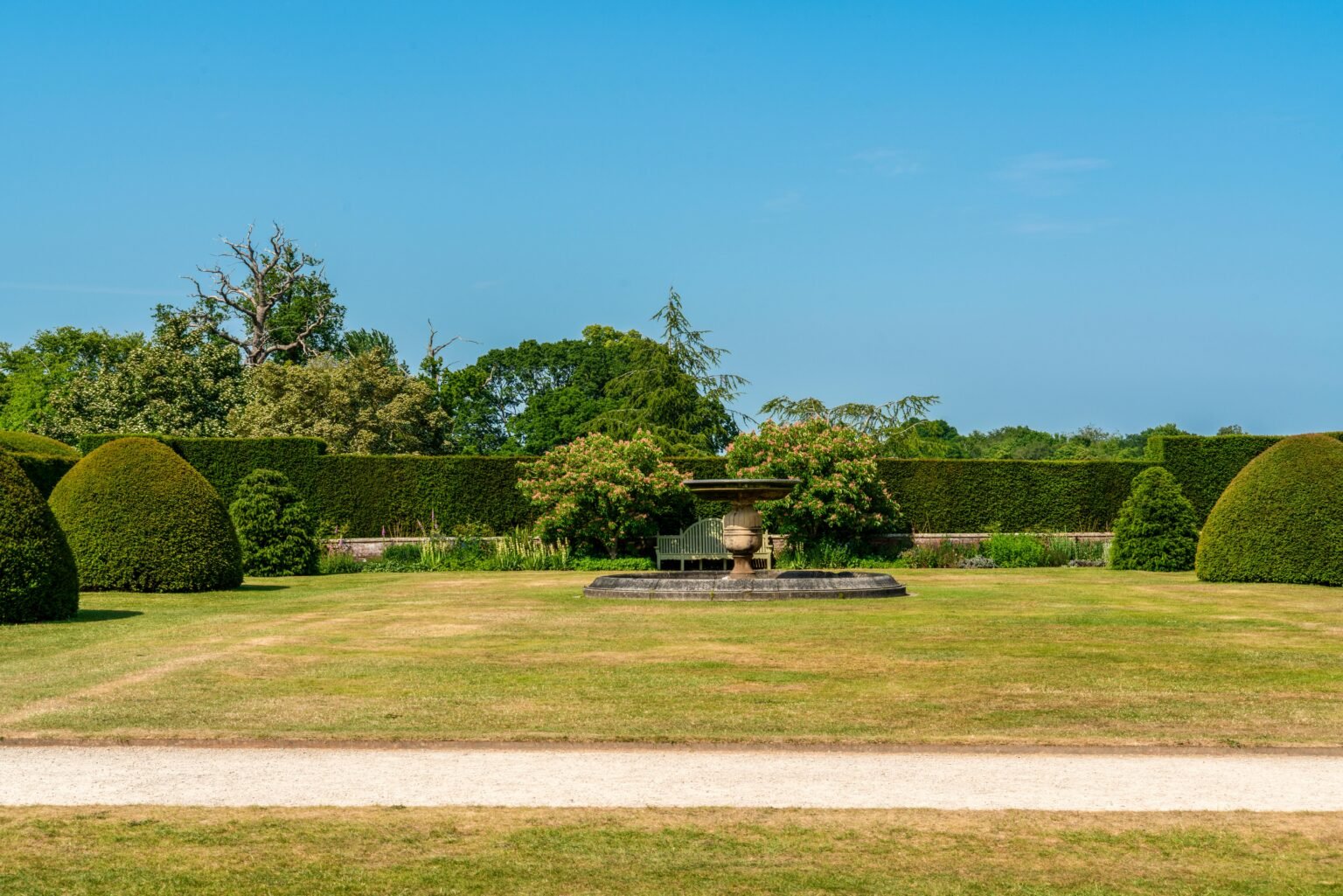 pexels-gottapics-17312057